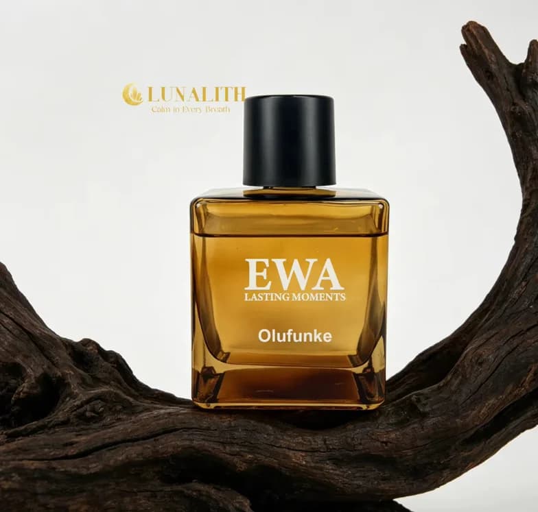 Olufunke Diffuser 500ml